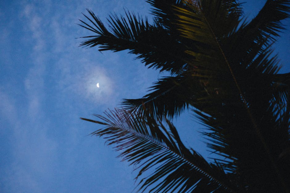 Warum steht der Mond heute so tief - Erklärung und Lösung