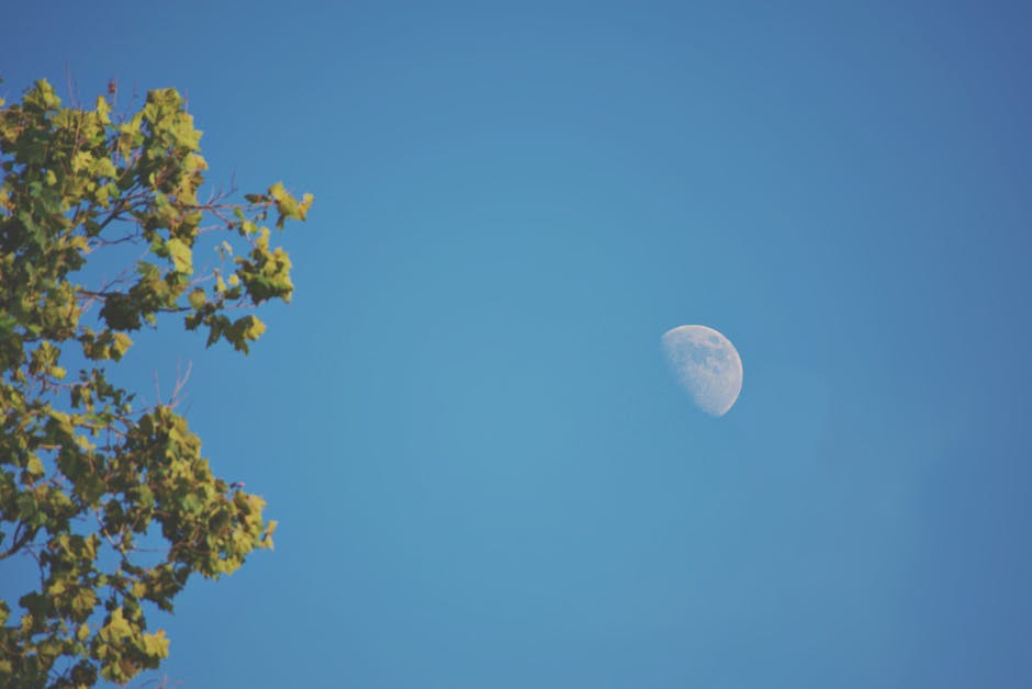 Flagge auf dem Mond hissen