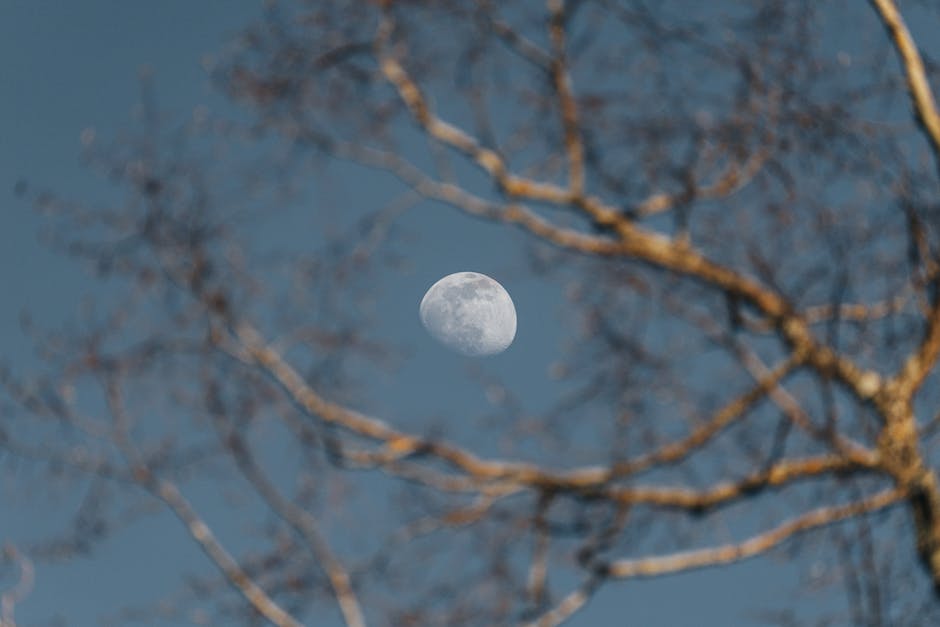 Nächster Blauer Mond: wann?