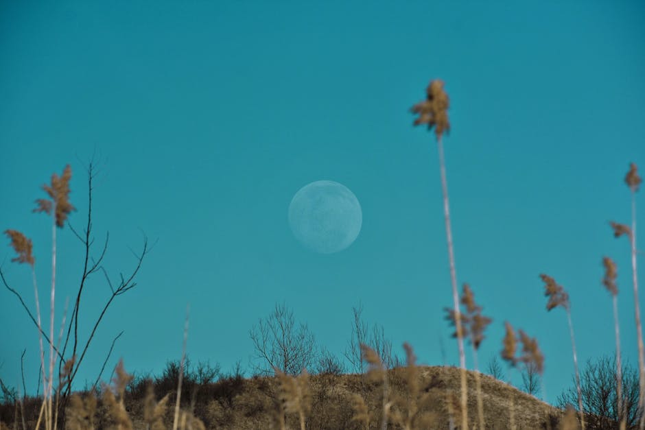  Bild des ersten Menschen auf dem Mond