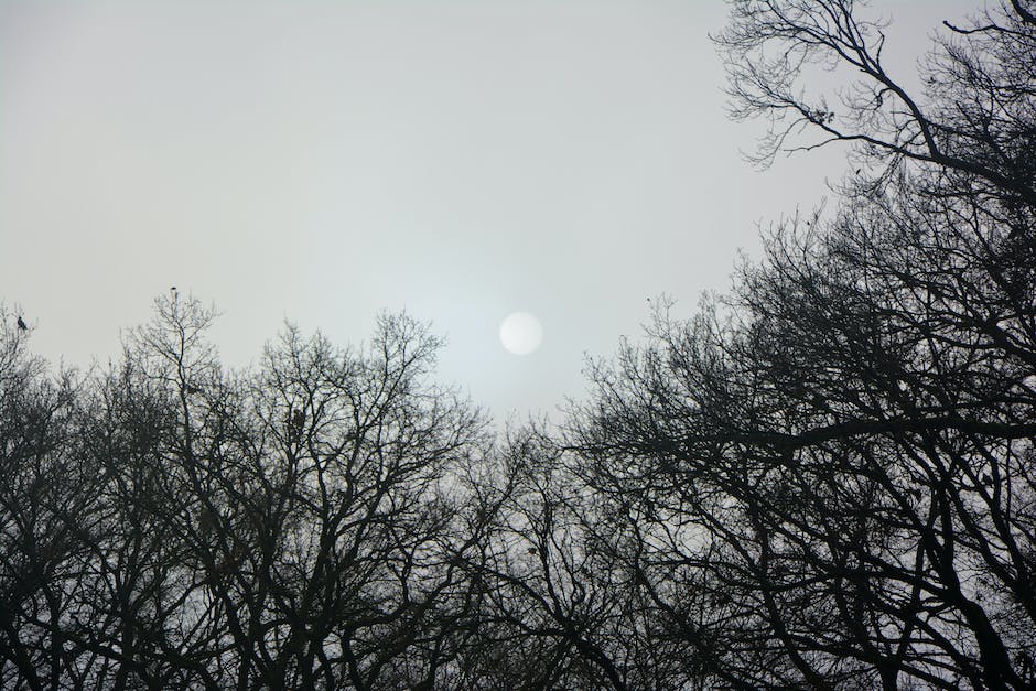  Entfernung von Licht von Erde zum Mond